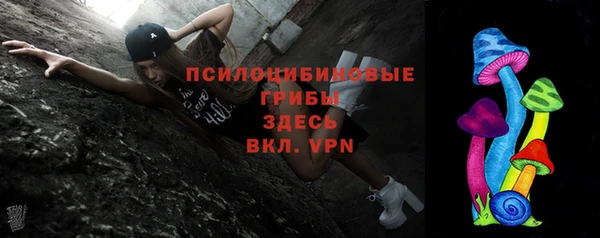 шишки Балахна