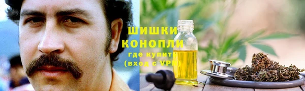 шишки Балахна