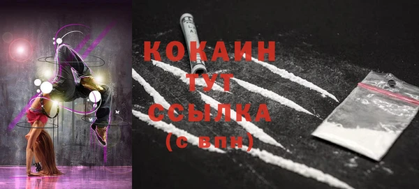 шишки Балахна