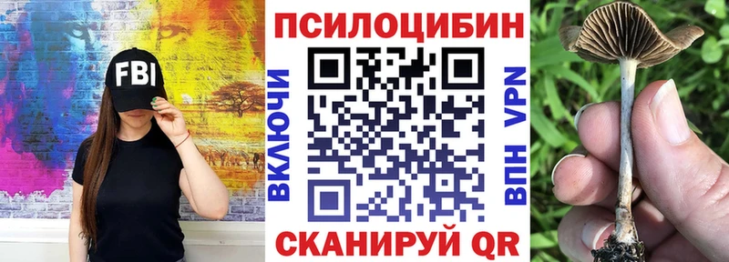 Псилоцибиновые грибы Magic Shrooms  цены наркотик  мега зеркало  Новозыбков 
